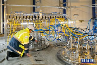 東西方牛仔技藝交鋒 全球視野下的技術(shù)傳承與創(chuàng)新推廣